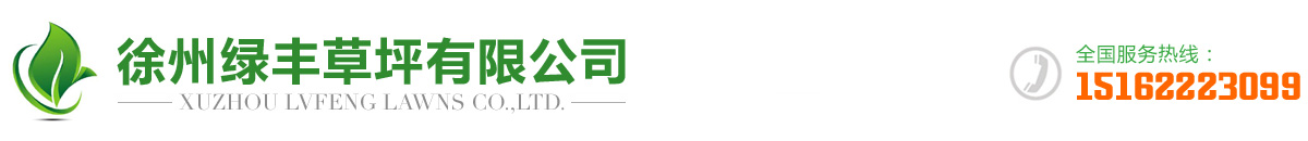 徐州9L视频自拍蝌蚪9L视频成人草坪有限公司